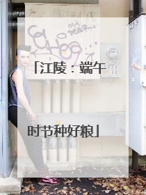 江陵：端午时节种好粮