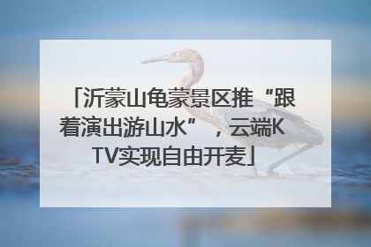 沂蒙山龟蒙景区推“跟着演出游山水”，云端KTV实现自由开麦