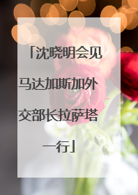 沈晓明会见马达加斯加外交部长拉萨塔一行