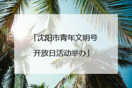 沈阳市青年文明号开放日活动举办