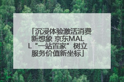 沉浸体验激活消费新想象 京东MALL“一站置家”树立服务价值新坐标