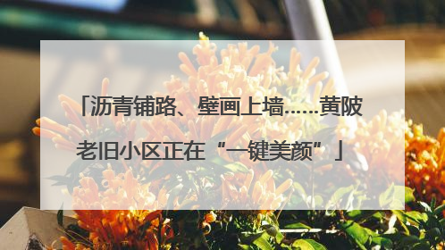 沥青铺路、壁画上墙……黄陂老旧小区正在“一键美颜”