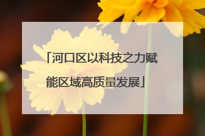 河口区以科技之力赋能区域高质量发展