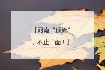 河南“顶流”，不止一面！