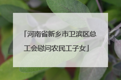 河南省新乡市卫滨区总工会慰问农民工子女