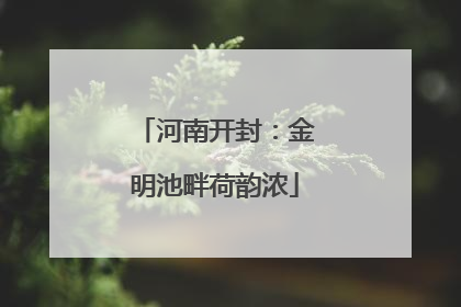 河南开封：金明池畔荷韵浓