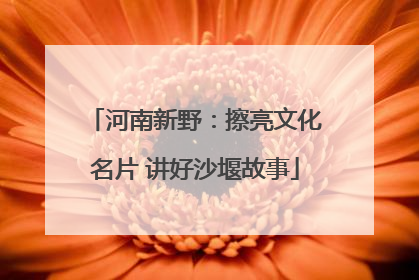 河南新野：擦亮文化名片 讲好沙堰故事