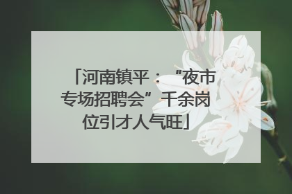 河南镇平：“夜市专场招聘会”千余岗位引才人气旺