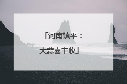 河南镇平：大蒜喜丰收