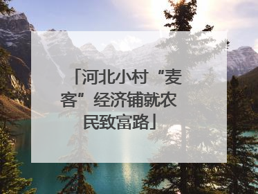 河北小村“麦客”经济铺就农民致富路