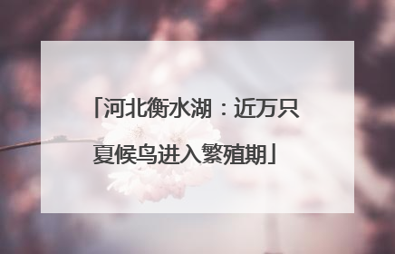 河北衡水湖：近万只夏候鸟进入繁殖期