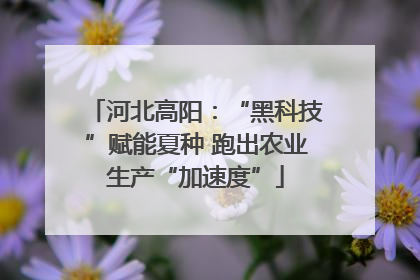 河北高阳：“黑科技”赋能夏种 跑出农业生产“加速度”