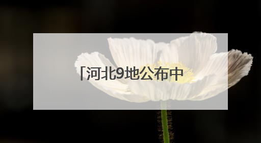 河北9地公布中考一分一档表