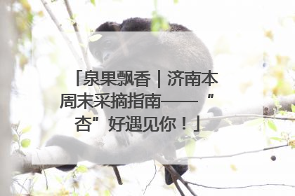 泉果飘香｜济南本周末采摘指南——“杏”好遇见你！
