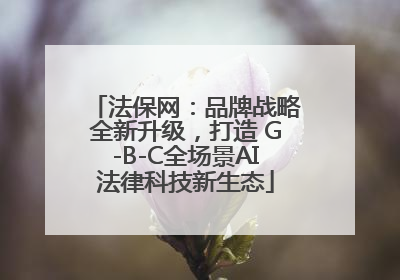 法保网：品牌战略全新升级，打造 G-B-C全场景AI法律科技新生态
