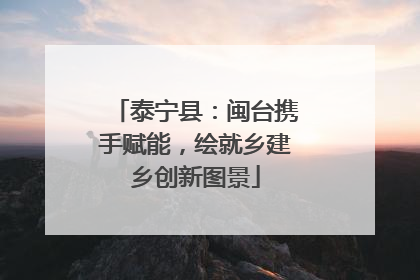 泰宁县：闽台携手赋能，绘就乡建乡创新图景