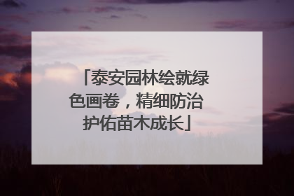 泰安园林绘就绿色画卷，精细防治护佑苗木成长