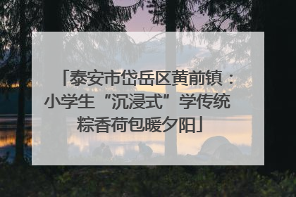 泰安市岱岳区黄前镇：小学生“沉浸式”学传统 粽香荷包暖夕阳