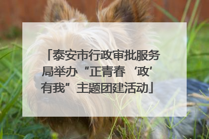 泰安市行政审批服务局举办“正青春‘政’有我”主题团建活动