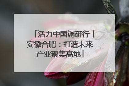活力中国调研行丨安徽合肥：打造未来产业聚集高地