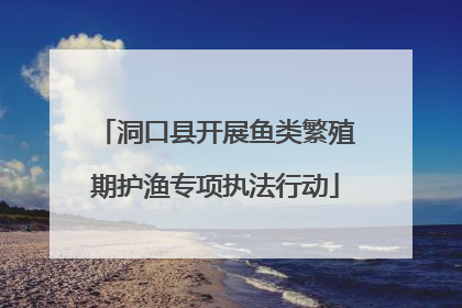 洞口县开展鱼类繁殖期护渔专项执法行动