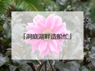 洞庭湖畔造船忙