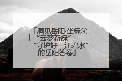 洞见岳阳·坐标③丨“云梦新绿”——“守护好一江碧水”的岳阳答卷