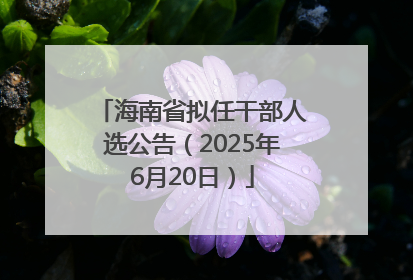 海南省拟任干部人选公告（2025年6月20日）