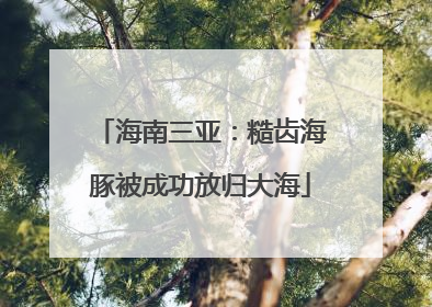海南三亚:糙齿海豚被成功放归大海