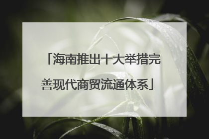 海南推出十大举措完善现代商贸流通体系