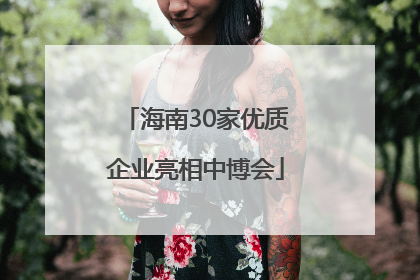 海南30家优质企业亮相中博会
