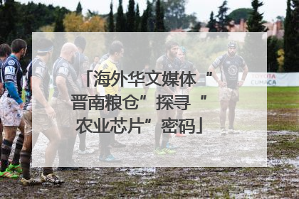海外华文媒体“晋南粮仓”探寻“农业芯片”密码