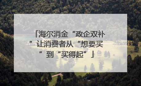 海尔消金“政企双补”让消费者从“想要买”到“买得起”