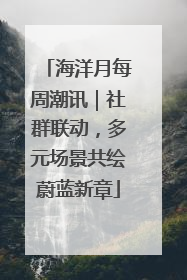 海洋月每周潮讯｜社群联动，多元场景共绘蔚蓝新章