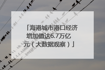海港城市港口经济增加值达6.7万亿元（大数据观察）