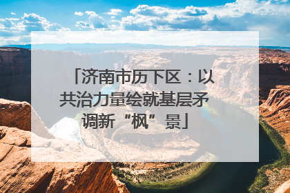 济南市历下区：以共治力量绘就基层矛调新“枫”景