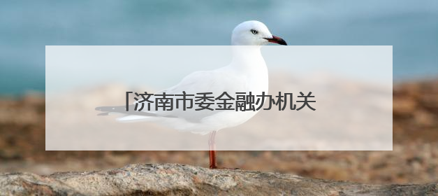 济南市委金融办机关党委：为群众筑牢金融风险防控“护城河”