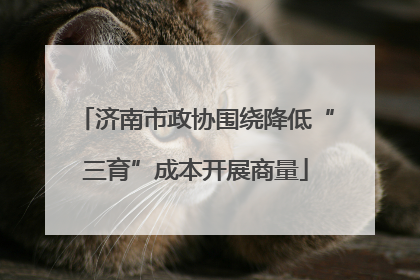 济南市政协围绕降低“三育”成本开展商量
