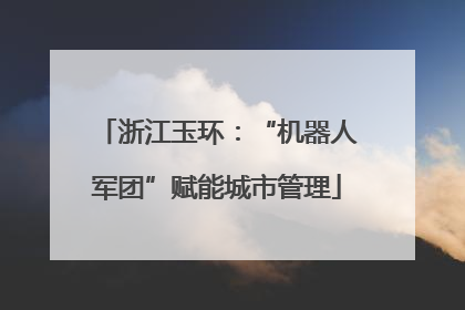 浙江玉环：“机器人军团”赋能城市管理