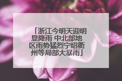 浙江今明天迎明显降雨 中北部地区雨势猛烈宁绍衢州等局部大暴雨