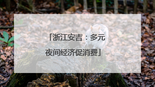 浙江安吉：多元夜间经济促消费