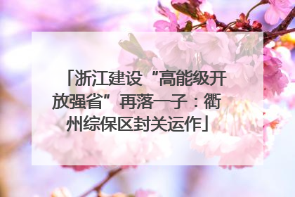 浙江建设“高能级开放强省”再落一子：衢州综保区封关运作