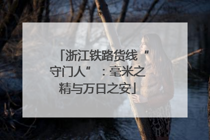 浙江铁路货线“守门人”：毫米之精与万日之安