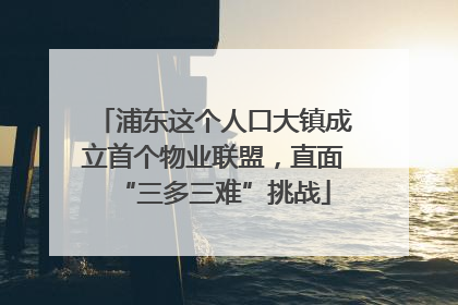 浦东这个人口大镇成立首个物业联盟，直面“三多三难”挑战