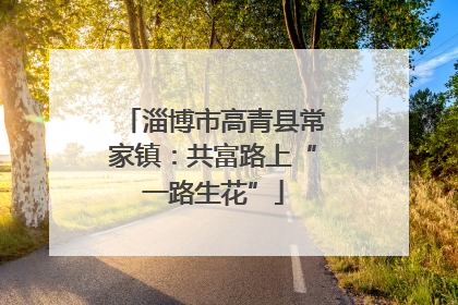 淄博市高青县常家镇：共富路上“一路生花”