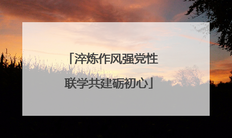 淬炼作风强党性 联学共建砺初心