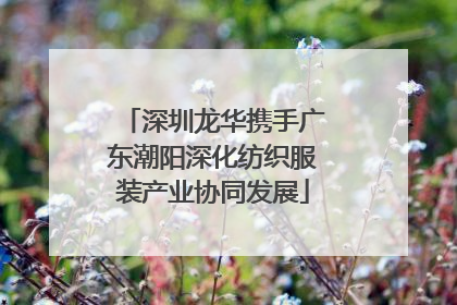 深圳龙华携手广东潮阳深化纺织服装产业协同发展
