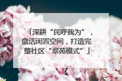 深耕“民呼我为”，盘活闲置空间，打造完整社区“翠苑模式”