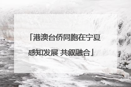 港澳台侨同胞在宁夏感知发展 共叙融合