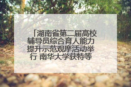 湖南省第二届高校辅导员综合育人能力提升示范观摩活动举行 南华大学获特等奖和一等奖